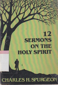 Image of 12 Sermons on the holy spirit