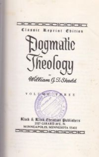 Image of Dogmatic theology