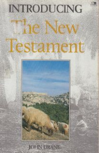 Image of Introducing the new testament