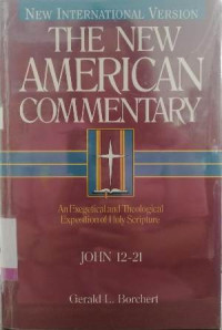 Image of The New American commentary John 12-21 vol 25B : an exegetical and theological exposition of Holy Scripture