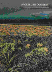 Image of Sagebrush country