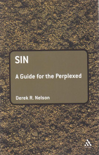 Image of Sin : a guide for the perplexed