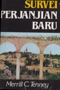 Image of Survei perjanjian baru