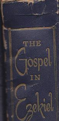 Image of The gospel in ezekiel