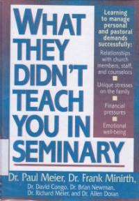 Image of What They Didnt Teach You In Seminary