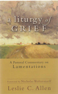 Image of A Liturgy of Grief: a pastoral commentary on lamentations